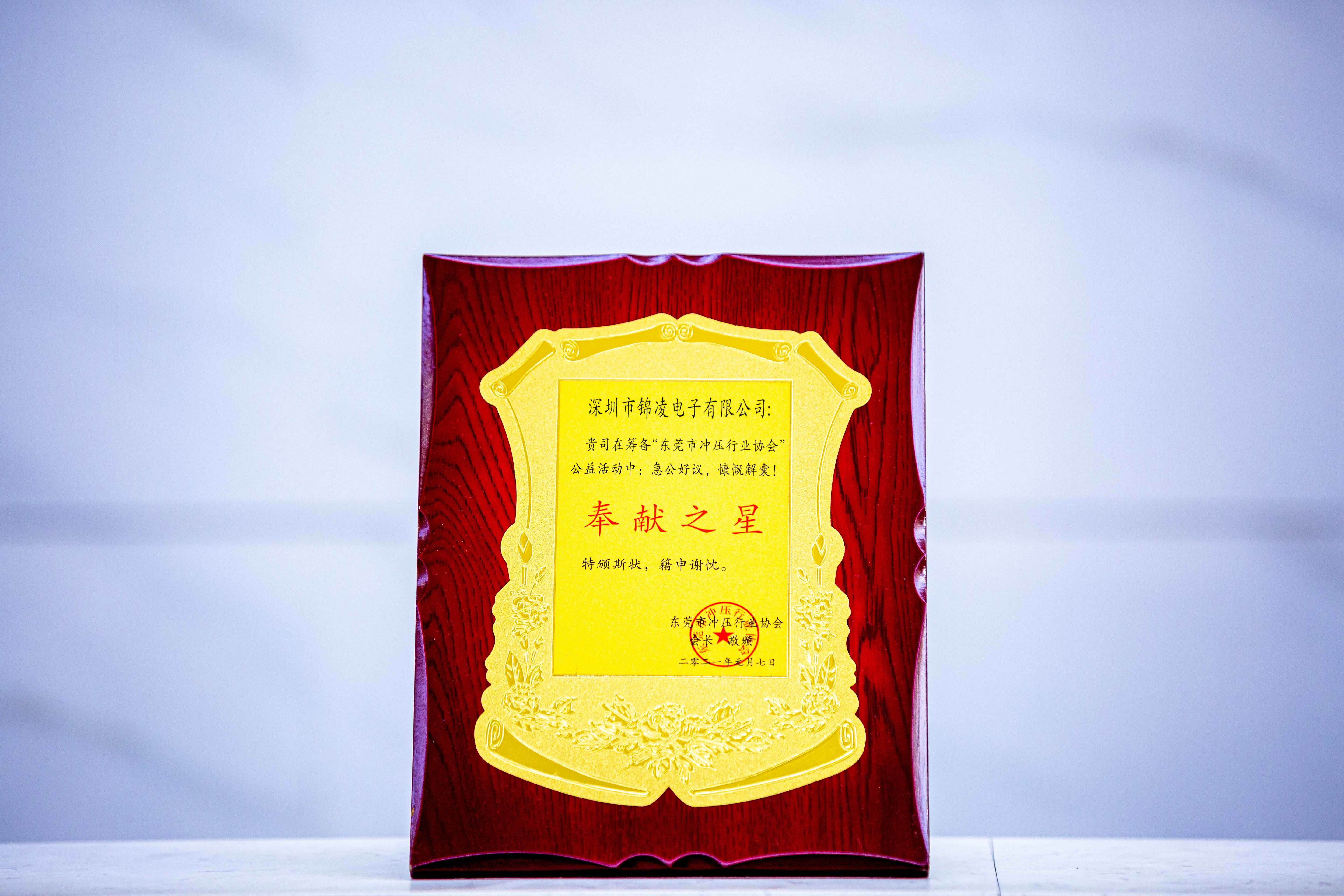 “東莞市沖壓行業(yè)協(xié)會(huì)”公益活動(dòng)中：急公好義，慷慨解囊！獲得奉獻(xiàn)之星的榮譽(yù)