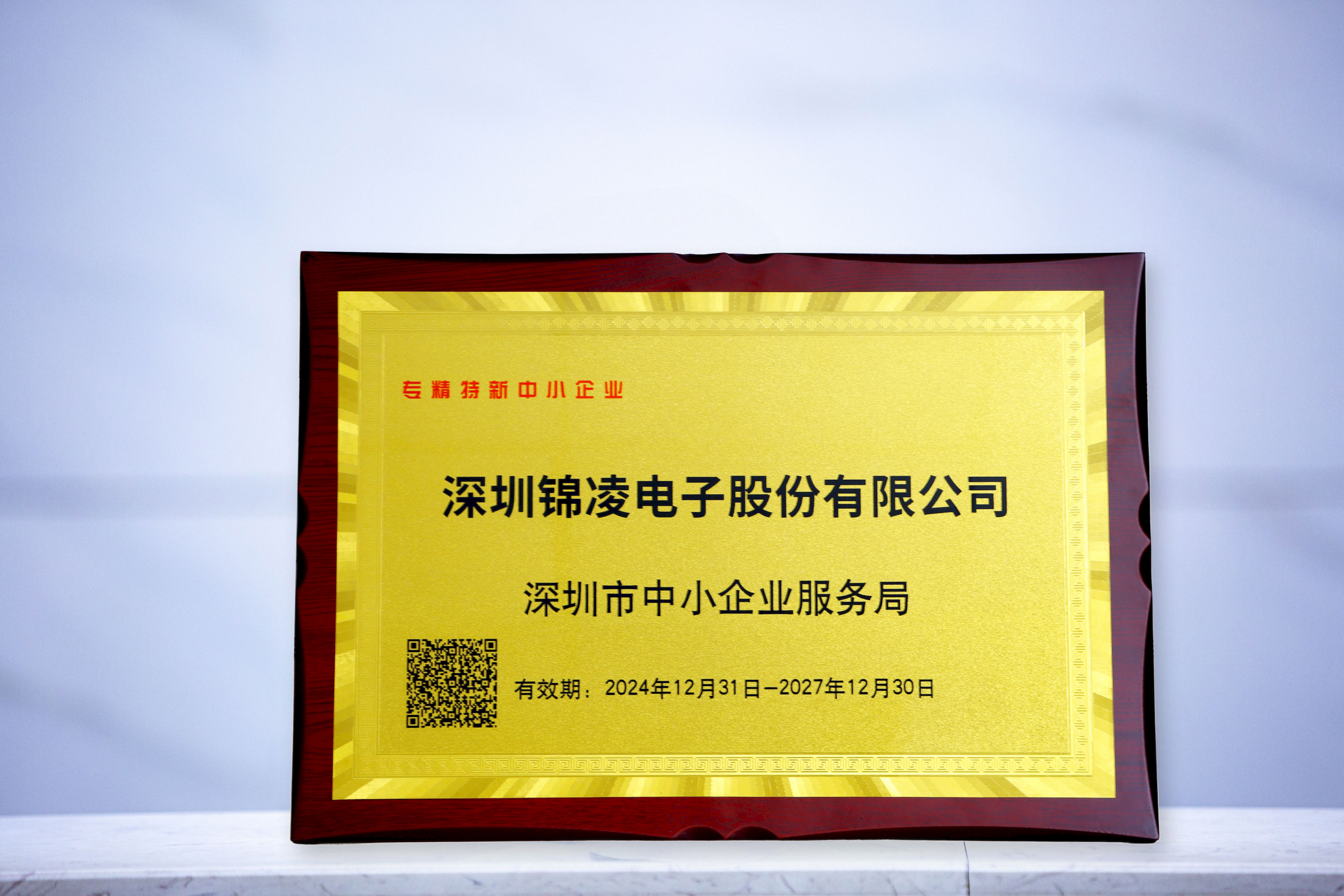 國(guó)家專精特新中小企業(yè)證書